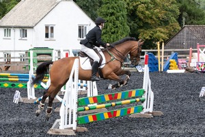 Class 6 - Fences not above 2'9